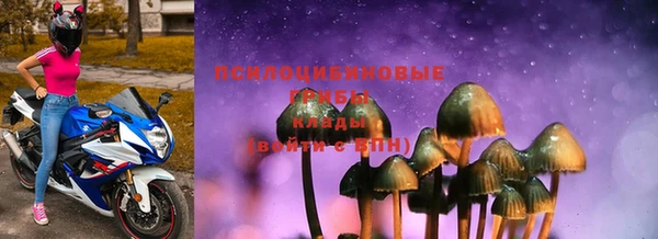 PSILOCYBIN Горнозаводск