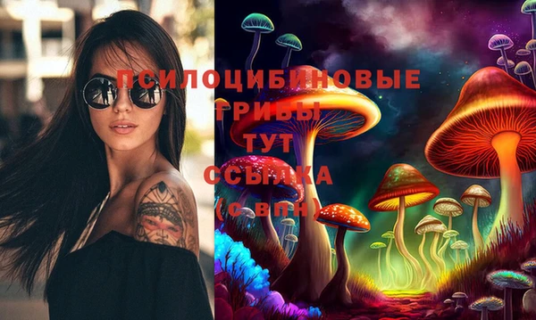 прущая мука Горняк