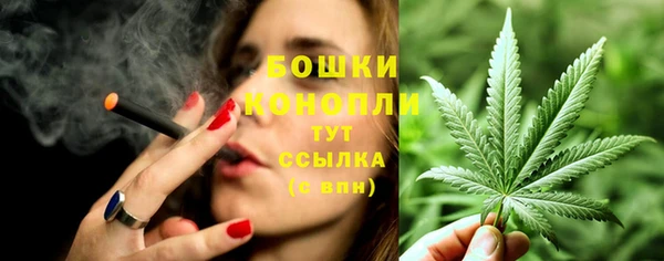 прущая мука Горняк