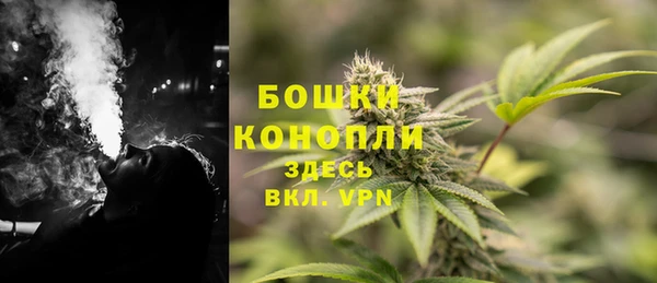 прущая мука Горняк
