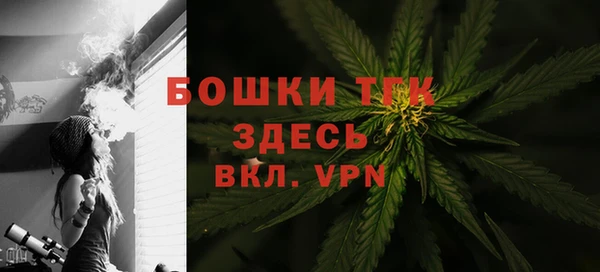 прущая мука Горняк