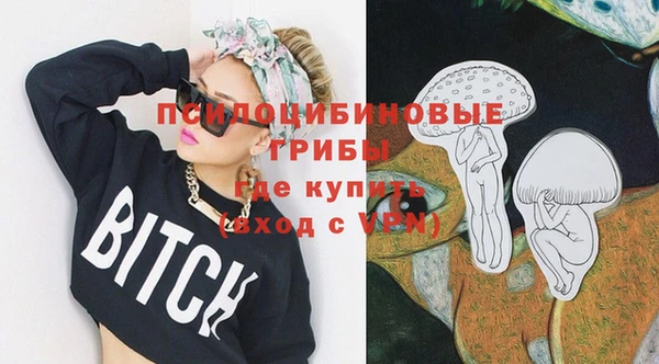 прущая мука Горняк