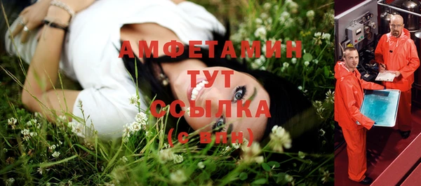 прущая мука Горняк