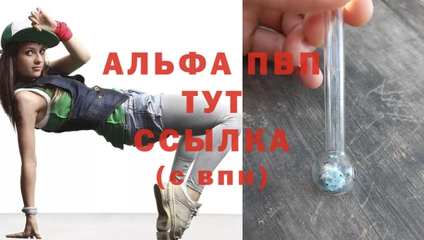 PSILOCYBIN Горнозаводск