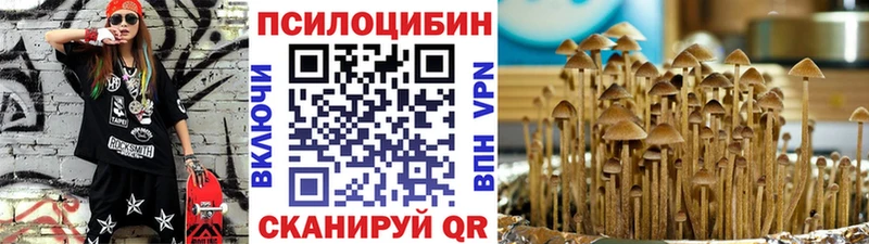 Псилоцибиновые грибы Magic Shrooms  Купить закладки  Кашира 